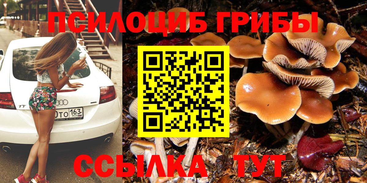 Зерноград  Галлюциногенные грибы Psilocybe  Вход с VPN  Псилоцибиновые грибы ЛСД 